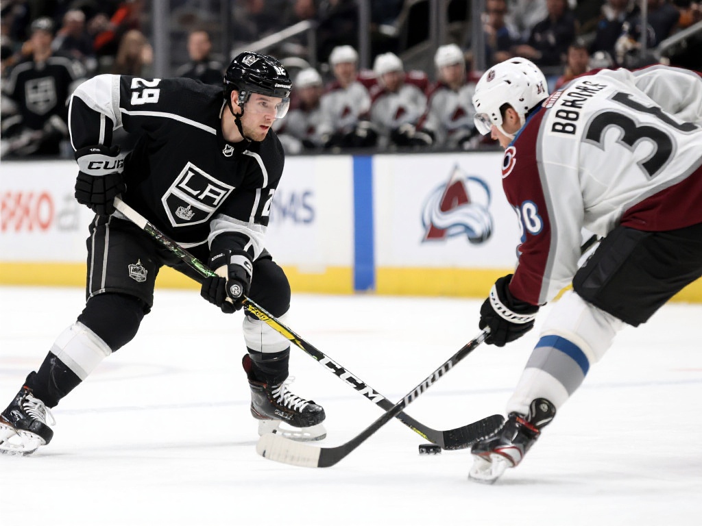 我们将介绍 我们将介绍